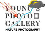 Nature photography