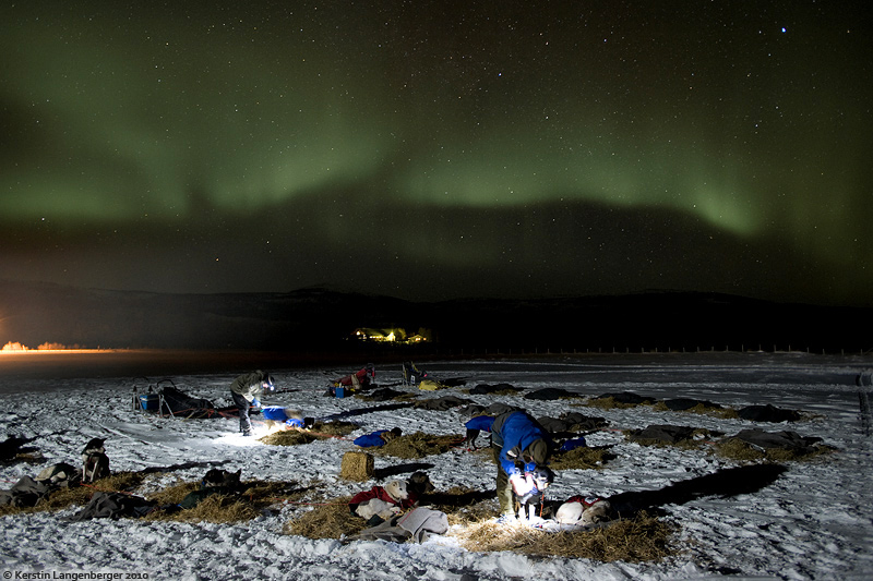 FINNMARKSLOPET Every night auroras could be seen during Norways Finnmarksløpet race.