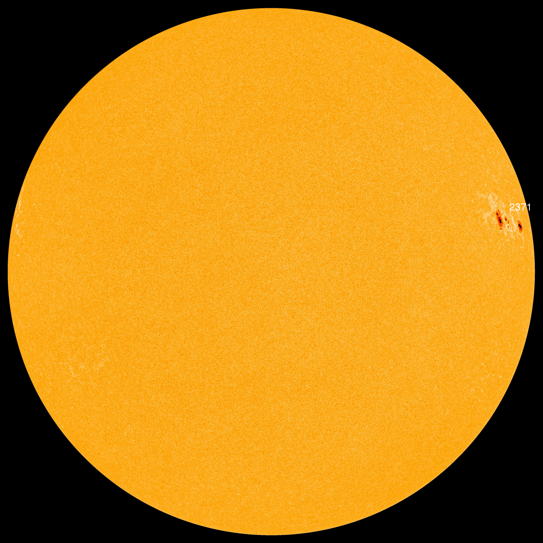 Słoneczko płata figle