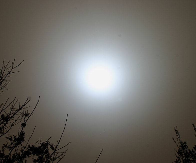 http://spaceweather.com/swpod2007/27feb07/King1.jpg