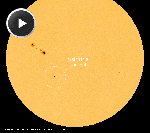 How big are sunspots?